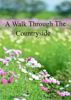 A Walk Through The Countryside