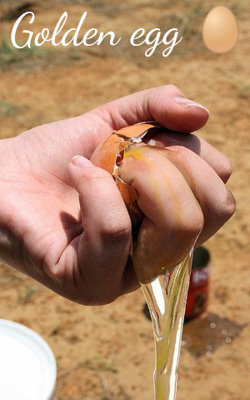 Golden egg 🥚
