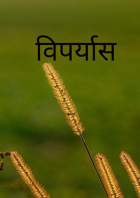 विपर्यास