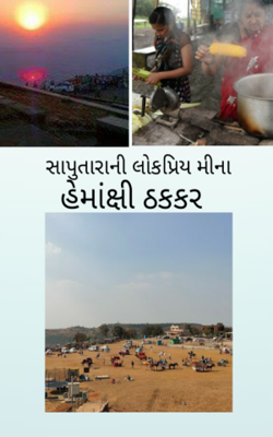 સાપુતારાની લોકપ્રિય મીના