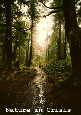 Nature in Crisis