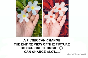 A FILTER CAN CHANGE 
THE ENTIRE VIEW OF THE PICTURE 
SO OUR ONE THOUGHT 💬 
CAN CHANGE ALOT.....!