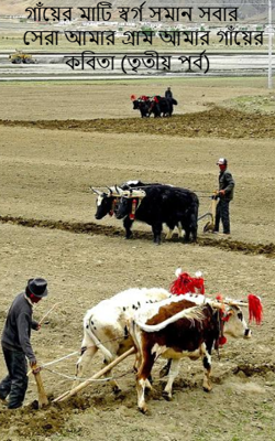 গাঁয়ের মাটি স্বর্গ সমান সবার সেরা আমার গ্রাম আমার গাঁয়ের কবিতা (তৃতীয় পর্ব)