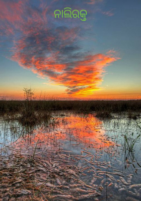 ନାଲିରକ୍ତ