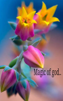Magic of God..