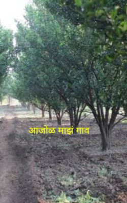 आजोळ माझं गाव