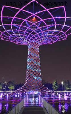 பாவம் போக்க அவதாரம்