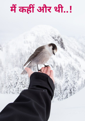 मैं कहीं और थी..!