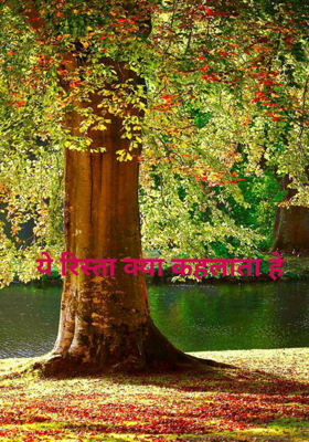 ये रिश्ता क्या कहलाता है