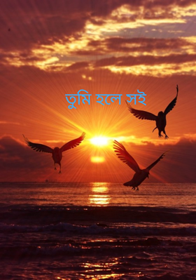 তুমি হলে সই