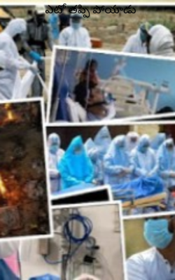 ఎటో తప్పి పోయాడు