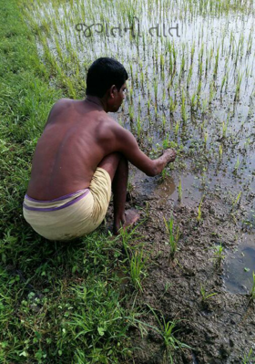 જગતનો તાત