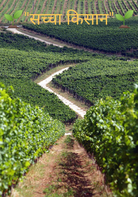 "सच्चा किसान"
