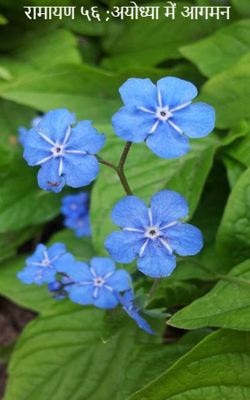 रामायण ५६ ;अयोध्या में आगमन