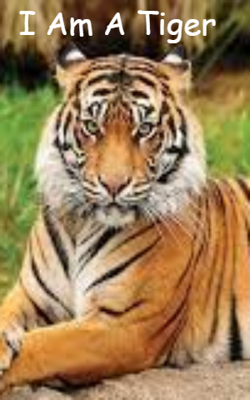 I Am A Tiger