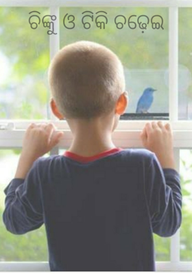 ଚିଙ୍କୁ ଓ ଟିକି ଚଢ଼େଇ