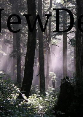 India And Its Capital New Delhi