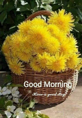 शाम का मनभावन नाश्ता