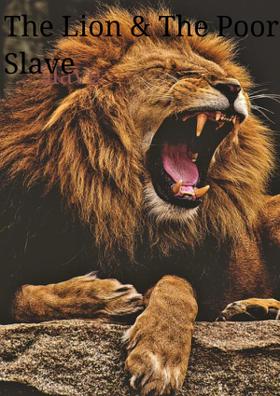 The Lion And The Poor Slave