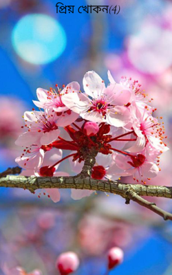 প্রিয় খোকন(4)