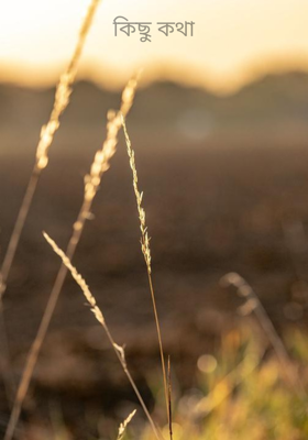 কিছু কথা