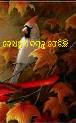 ବୋଧହୁଏ ବସନ୍ତ ଫେରିଛି