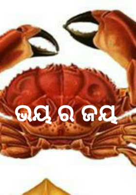 ଭୟ ର ଜୟ