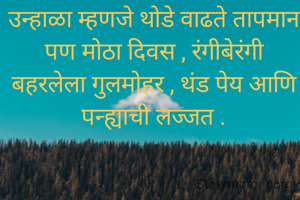 उन्हाळा म्हणजे थोडे वाढते तापमान पण मोठा दिवस , रंगीबेरंगी बहरलेला गुलमोहर , थंड पेय आणि पन्ह्याची लज्जत .
