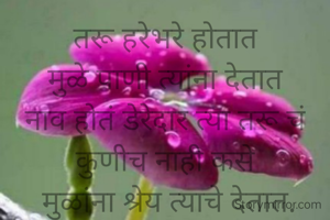 तरू हरेभरे होतात
मुळे पाणी त्यांना देतात
नाव होतं डेरेदार त्या तरू चं
कुणीच नाही कसे
 मुळांना श्रेय त्याचे देतात.