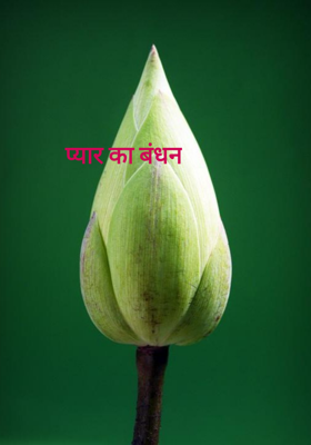 प्यार का बंधन