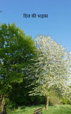 दिल की भड़ास