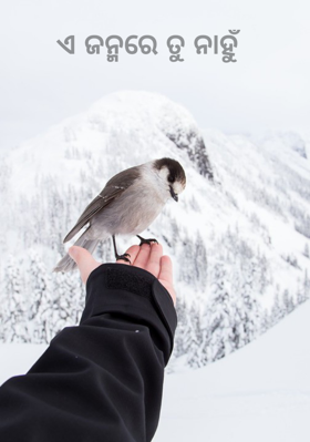 ଏ ଜନ୍ମରେ ତୁ ନାହୁଁ ‌