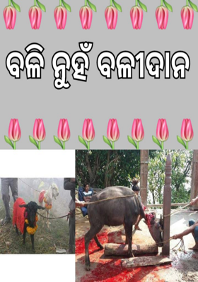 ବଳି ନୁହଁ ବଳୀଦାନ