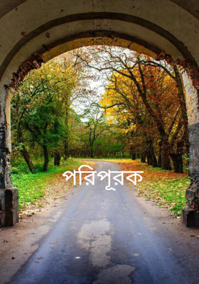 পরিপূরক