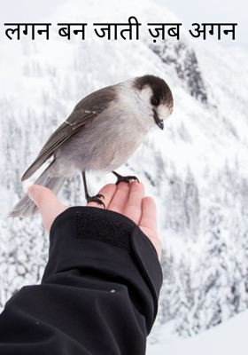 लगन बन जाती ज़ब अगन