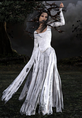 part 4 नाईट ओवर