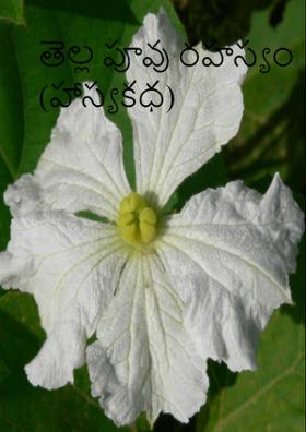 తెల్ల పూవు రహస్యం (హాస్యకధ)