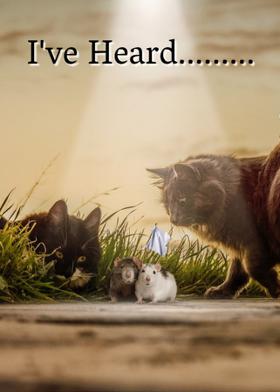 I've Heard..............