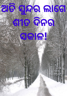 ଅତି ସୁନ୍ଦର ଲାଗେ ଶୀତ ଦିନର ସକାଳ!