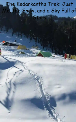 The Kedarkantha Trek: Just Me, the Snow, and a Sky Full of Stars