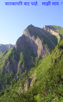 चातकापरि वाट पाहे... माझी माय..!