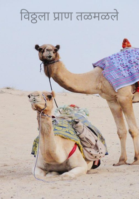 विठ्ठला प्राण तळमळले