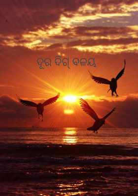 ଦୂର ଦିଗ୍ ବଳୟ