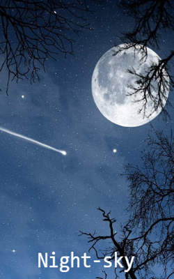 Night Sky