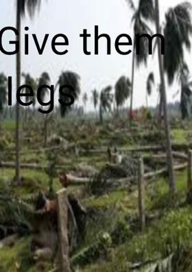 Give Them legs