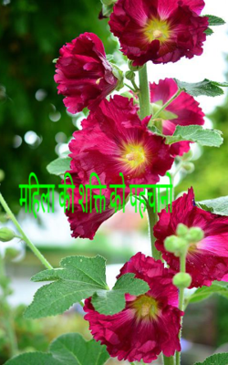 महिला की शक्ति को पहचानो