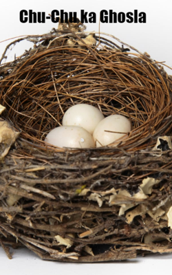 चू चू का घौसला