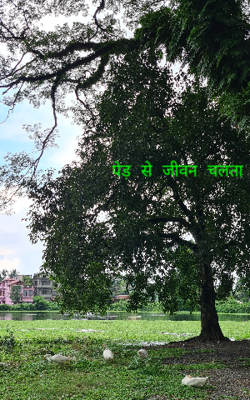 पेड़ से जीवन चलता