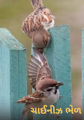 ચાઈનીઝ ભેળ