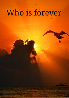 Who Is Forever